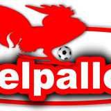 Nel 2013 si affacci� sulla scena anche Barinelpallone